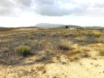 Land for sale in the Torre del Rico area