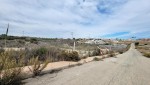 Land for sale in the Torremendo area